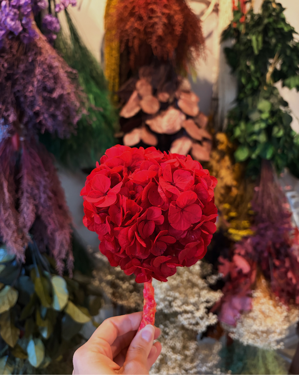 Hortensia Roja Talla S