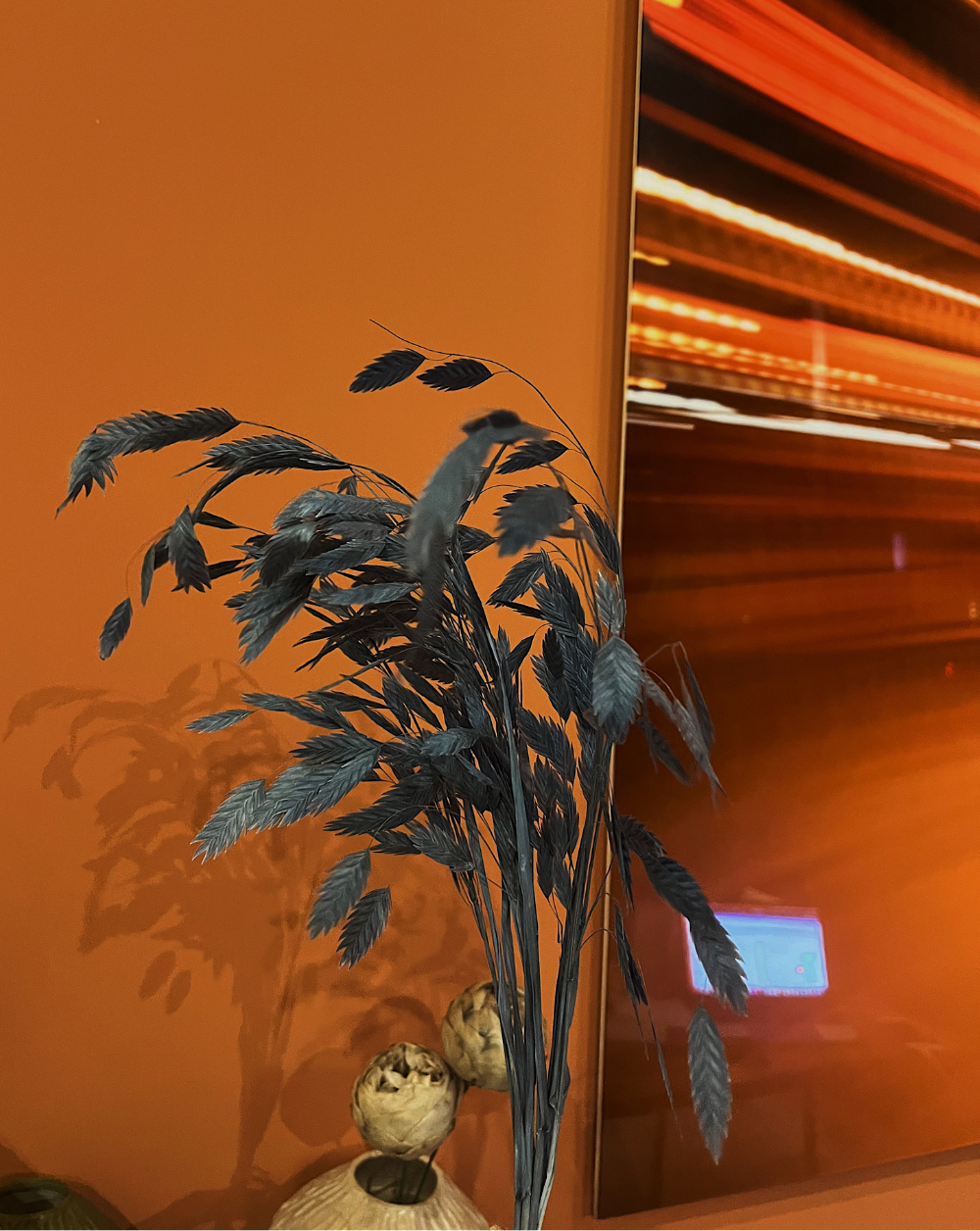 Chasmanthium azul