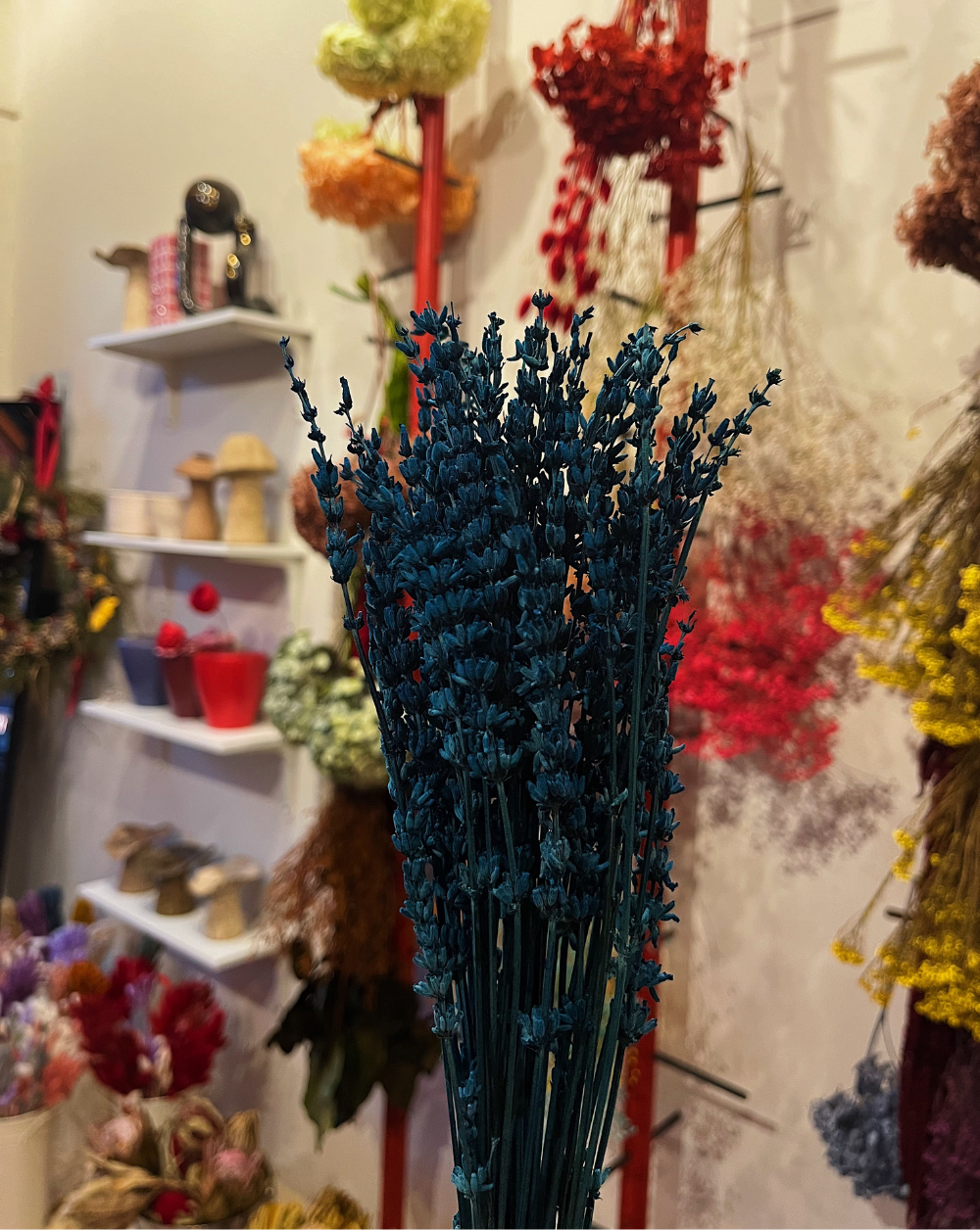 Lavanda Azul