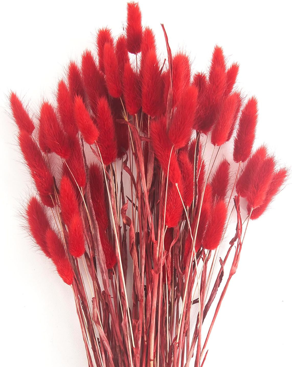 Colitas de conejo rojas