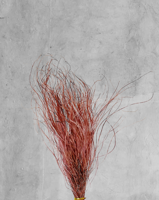 Plumas Rosa Viejo