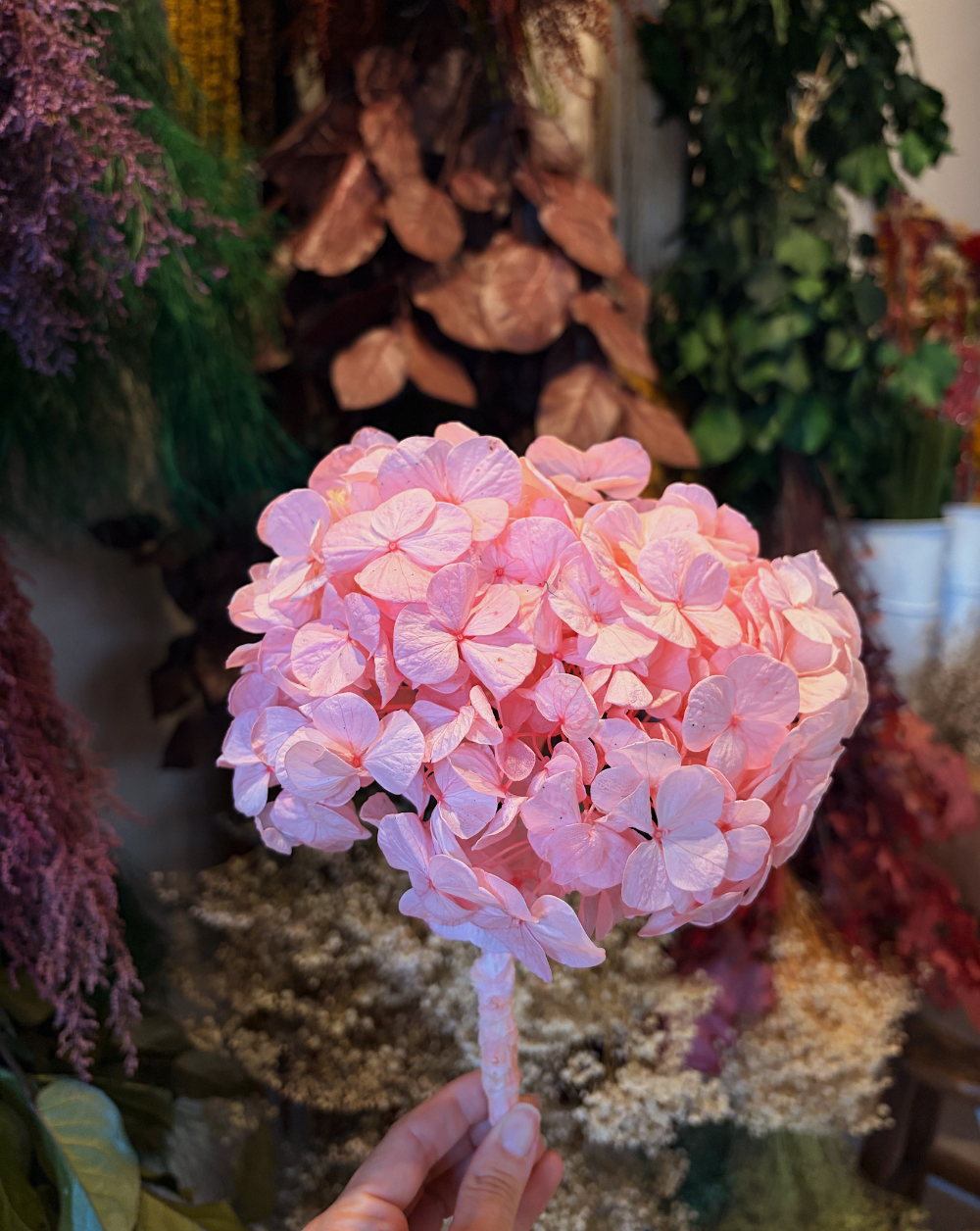 Hortensia Rosada Talla M