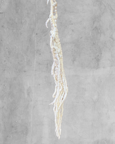 Amaranthus Colgante Blanco