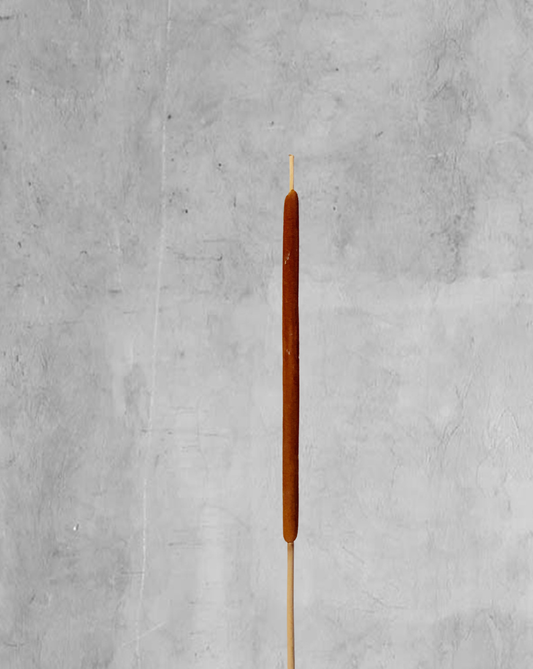 Cattail color natural