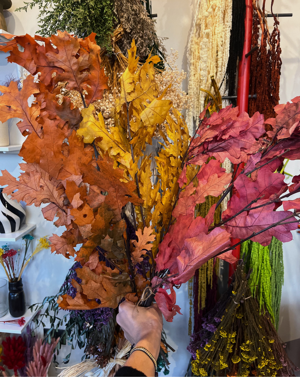 Oak Amarillo