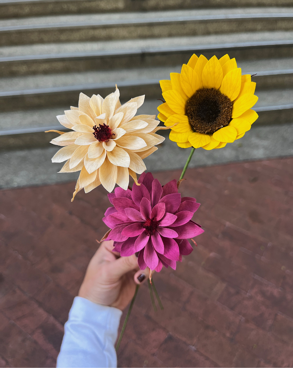 Dahlia Champagne