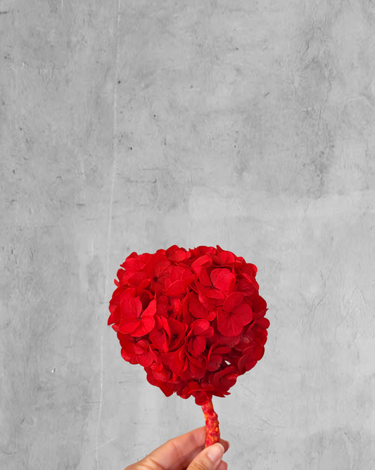 Hortensia Roja Talla S