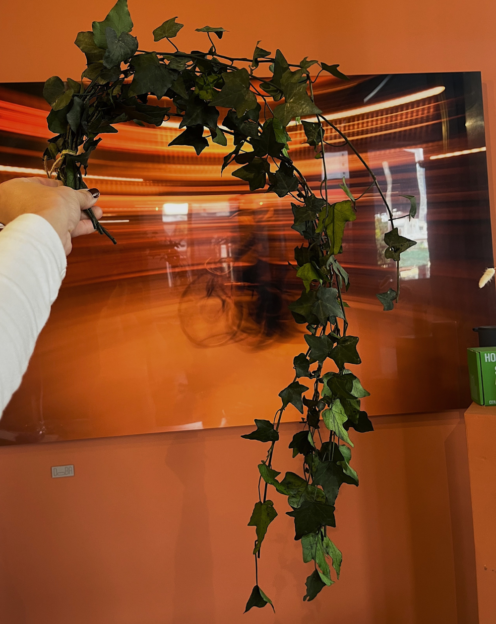 English Ivy