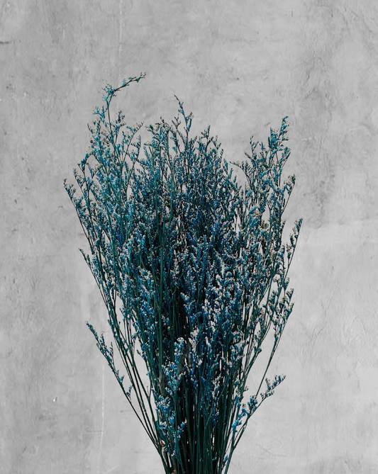Caspia Azul
