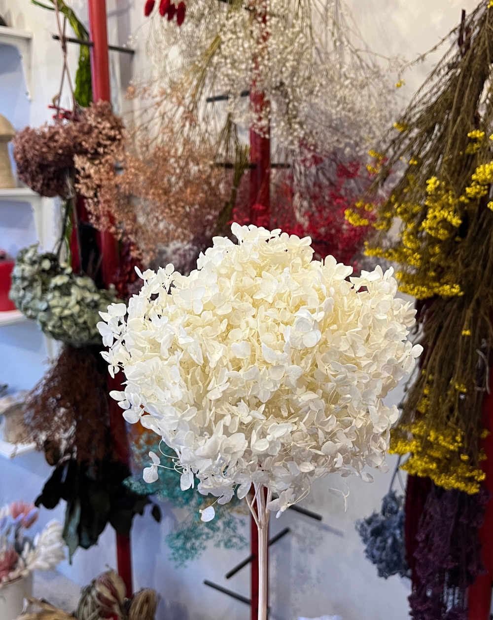 Hortensia Blanca Talla M