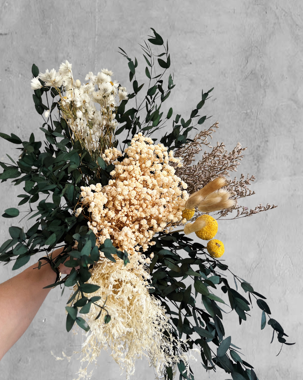 Gypsophilas Clásicas Beige