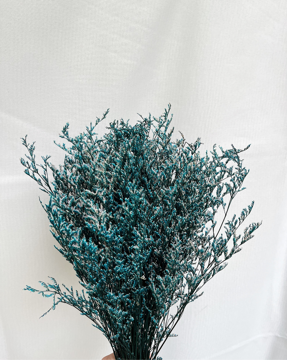 Caspia Azul